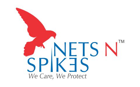 nets_n_spike
